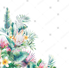 Экзотические цветы и листья