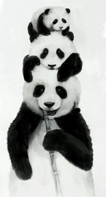 Панды