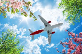 Літак у небі