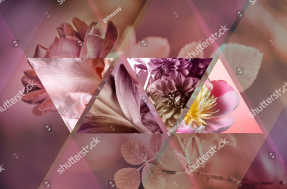 Геометрия с цветами