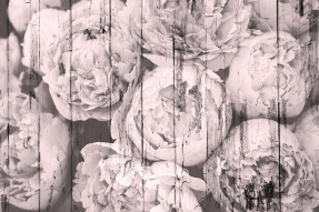 Пионы на деревянном фоне