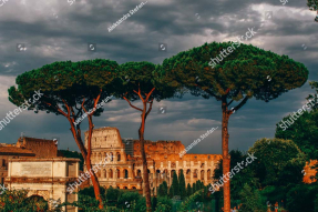 Римские деревья