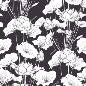 Монохромные лотосы