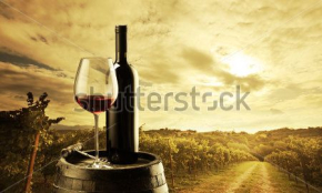 Картины Красное вино