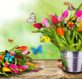 Букеты тюльпанов