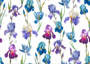 Акварельные ирисы