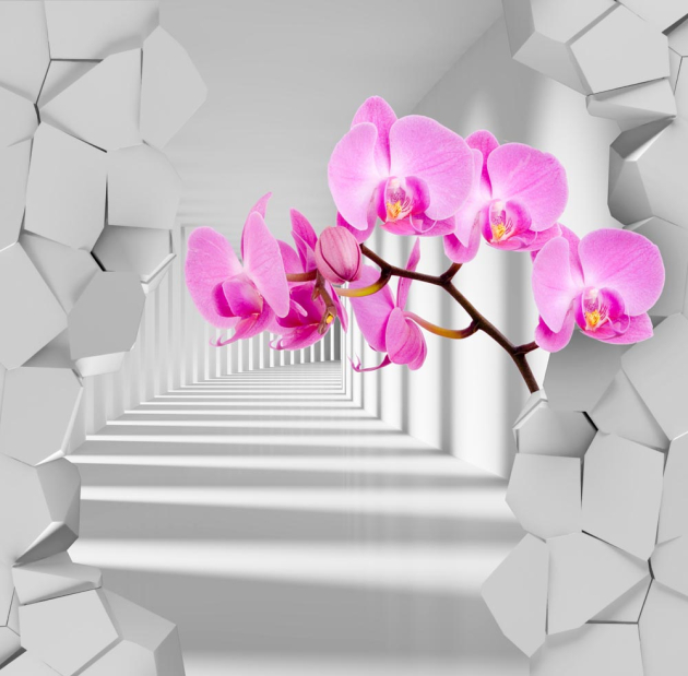 Орхидея в тоннеле