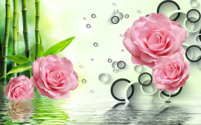 Розы на воде