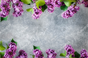 Сирень на фоне стены