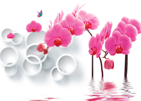Орхидеи и круги