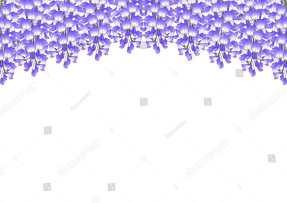 Рисованная глициния