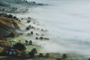 Картины Туман
