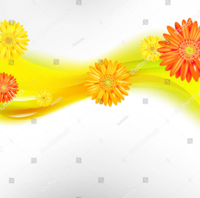 Абстракция с герберами