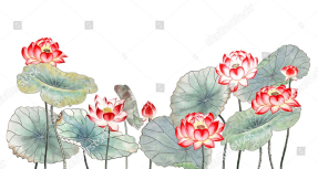 Акварельные лотосы