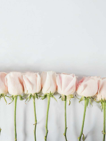 Картины Розовые розы