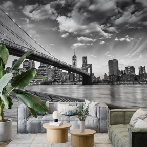 Бруклинский мост ЧБ