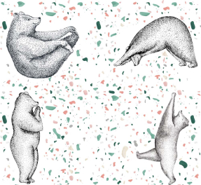 Медведи гимнасты