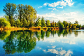 Лесное озеро