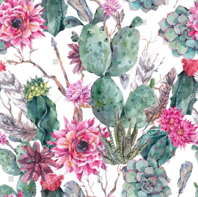 Кактусы с цветами