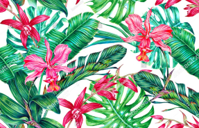 Экзотические растения