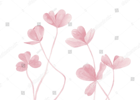 Акварельные листья клевера