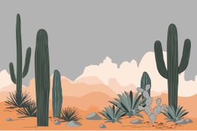 Кактусы в пустыне