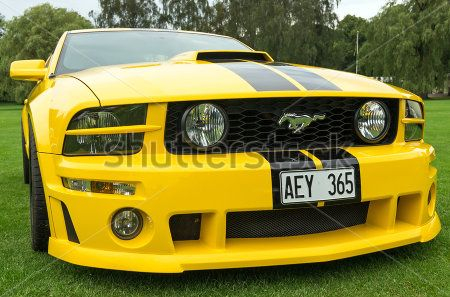 Mustang Mustang