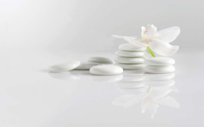 Орхидея на камнях