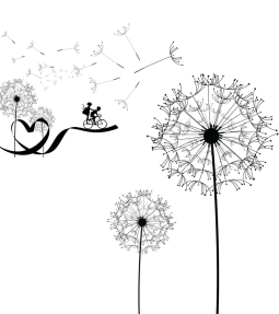 Одуванчики