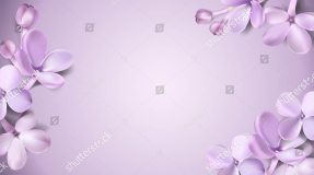 Сиреневый фон