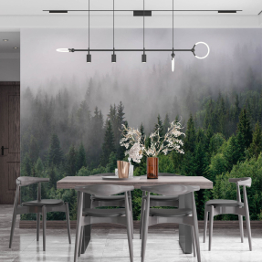 Лес и туман