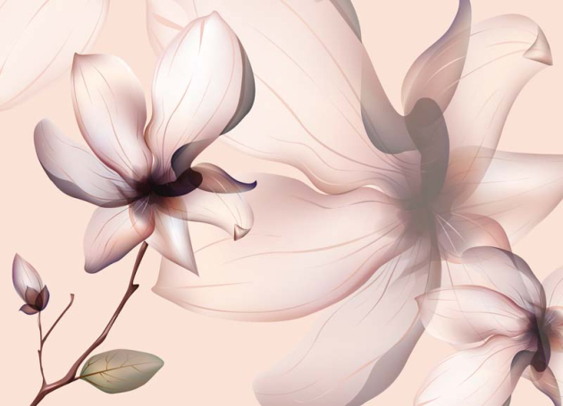 Магнолии