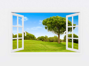 Вид на парк