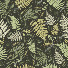 Папоротник