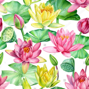 Акварельные кувшинки