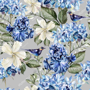 Ирисы и гладиолусы