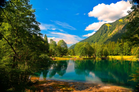 Озеро в лесу