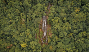 Водопад в лесу