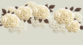 Белые цветы