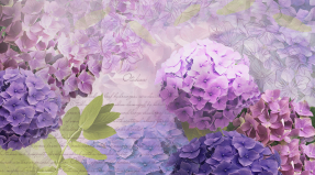 3D гортензии