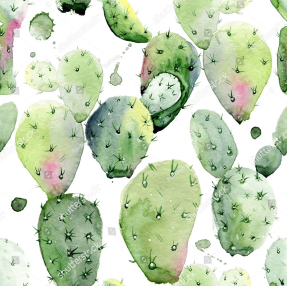 Акварельные кактусы