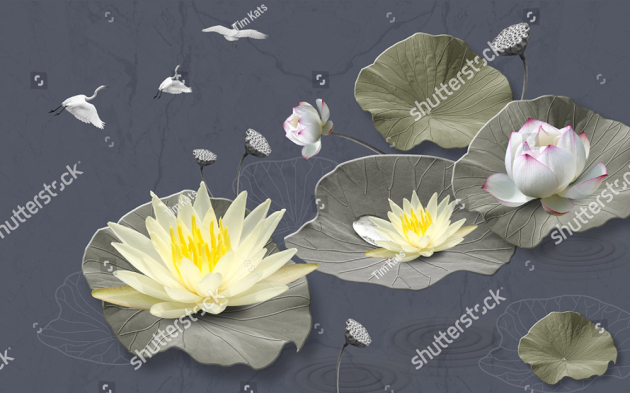 Лилии и лотосы