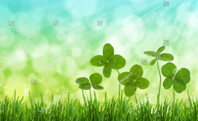 Листья клевера