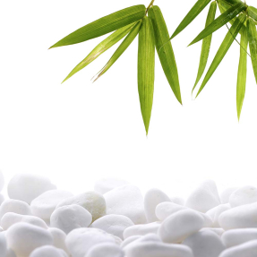 Бамбук над камнями