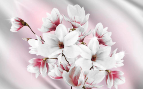 Белые магнолии