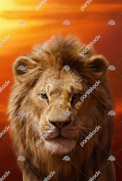 Король лев Симба