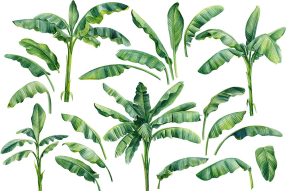 Банановые листья