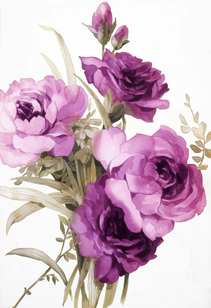 Акварельные розы