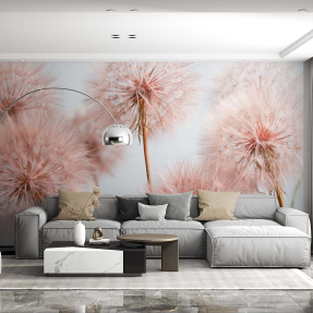 Розовые кульбабы