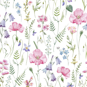 Полевые цветы